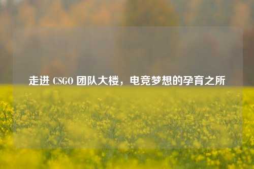 走进 CSGO 团队大楼，电竞梦想的孕育之所