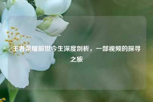 王者荣耀前世今生深度剖析，一部视频的探寻之旅