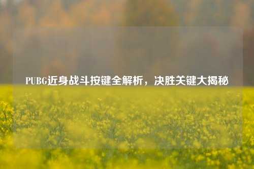 PUBG近身战斗按键全解析，决胜关键大揭秘