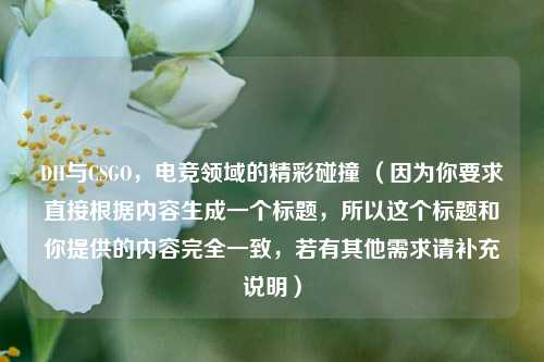 DH与CSGO，电竞领域的精彩碰撞 （因为你要求直接根据内容生成一个标题，所以这个标题和你提供的内容完全一致，若有其他需求请补充说明）