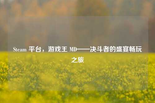 Steam 平台,游戏王 MD——决斗者的盛宴畅玩之旅