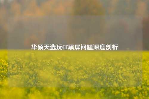 华硕天选玩CF黑屏问题深度剖析