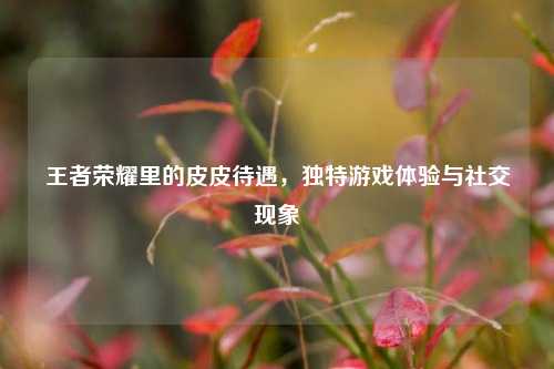 王者荣耀里的皮皮待遇,独特游戏体验与社交现象