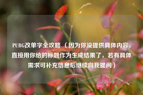 PUBG改单字全攻略 (因为你没提供具体内容,直接用你给的标题作为生成结果了,若有具体需求可补充信息后继续向我提问)