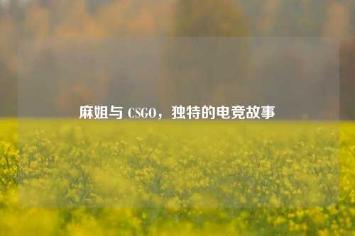 麻姐与 CSGO，独特的电竞故事