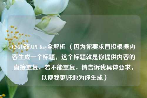 CSGO改API Key全解析 (因为你要求直接根据内容生成一个标题,这个标题就是你提供内容的直接重复,若不能重复,请告诉我具体要求,以便我更好地为你生成)