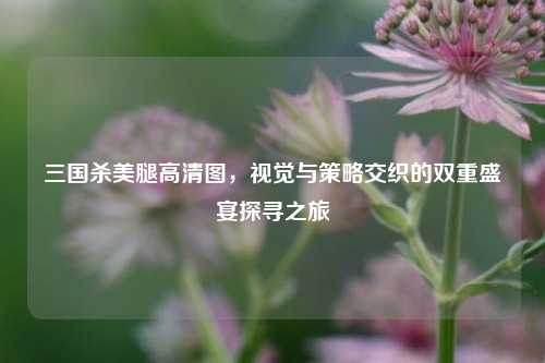 三国杀美腿高清图，视觉与策略交织的双重盛宴探寻之旅