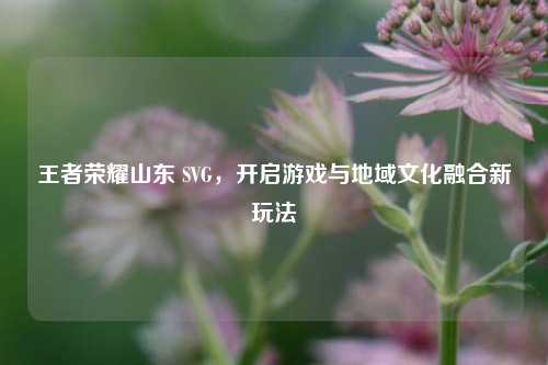 王者荣耀山东 SVG,开启游戏与地域文化融合新玩法