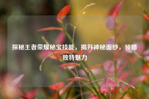 探秘王者荣耀秘宝技能,揭开神秘面纱,领略独特魅力