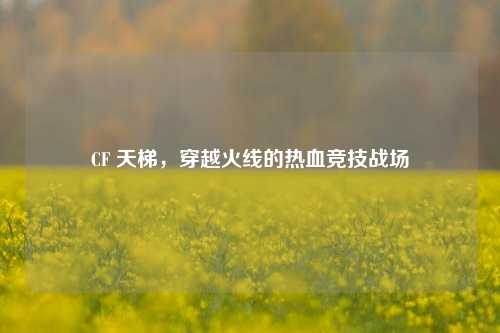 CF 天梯，穿越火线的热血竞技战场