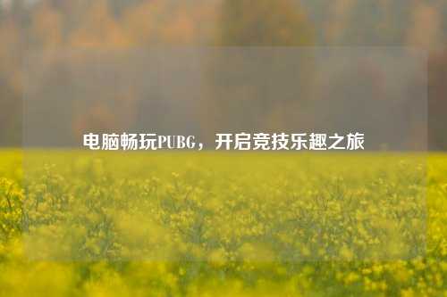电脑畅玩PUBG，开启竞技乐趣之旅