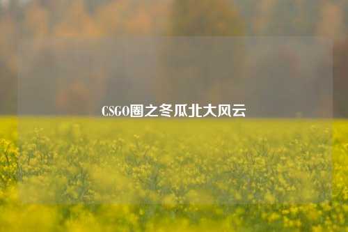 CSGO圈之冬瓜北大风云