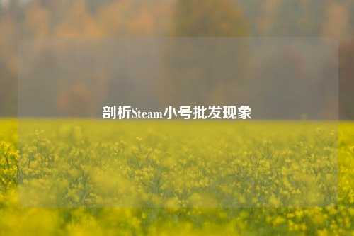 剖析Steam小号批发现象