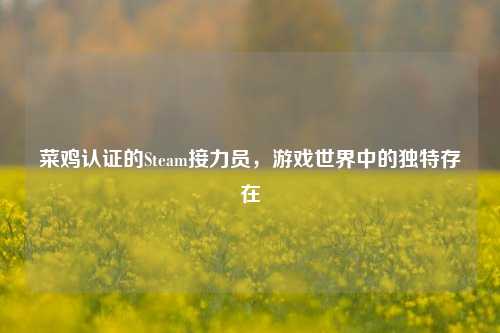 菜鸡认证的Steam接力员，游戏世界中的独特存在