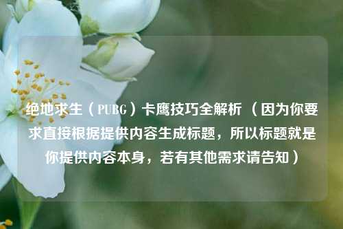 绝地求生(PUBG)卡鹰技巧全解析 (因为你要求直接根据提供内容生成标题,所以标题就是你提供内容本身,若有其他需求请告知)