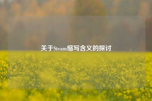 关于Steam缩写含义的探讨