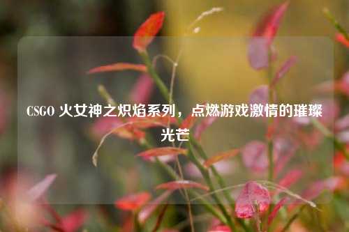 CSGO 火女神之炽焰系列,点燃游戏激情的璀璨光芒