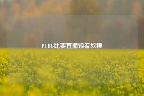 PUBG比赛直播观看教程