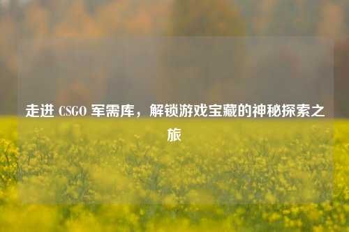 走进 CSGO 军需库，解锁游戏宝藏的神秘探索之旅