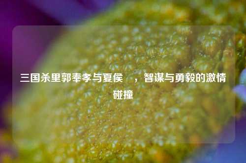 三国杀里郭奉孝与夏侯惇，智谋与勇毅的激情碰撞