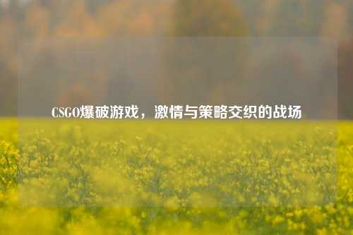 CSGO爆破游戏，激情与策略交织的战场