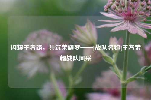 闪耀王者路，共筑荣耀梦——[战队名称]王者荣耀战队风采