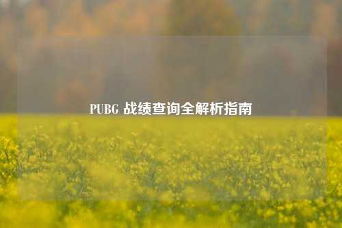 PUBG 战绩查询全解析指南