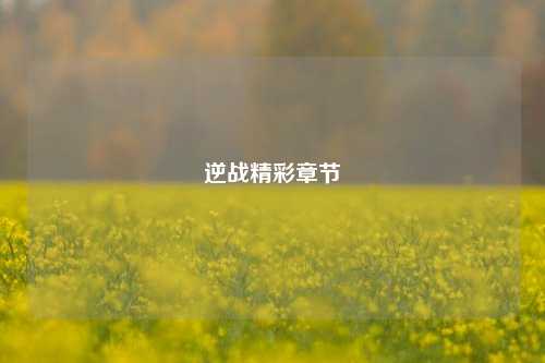逆战精彩章节