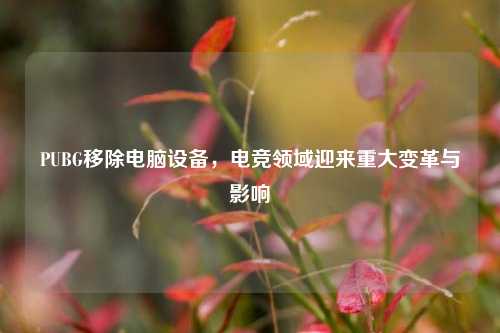 PUBG移除电脑设备，电竞领域迎来重大变革与影响