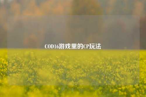 COD16游戏里的CP玩法