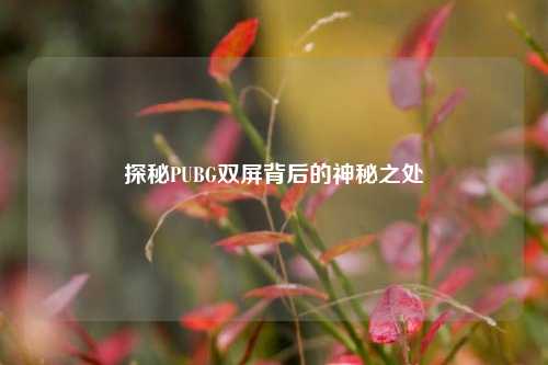 探秘PUBG双屏背后的神秘之处