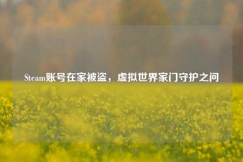 Steam账号在家被盗，虚拟世界家门守护之问