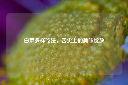 白菜多样吃法，舌尖上的美味绽放
