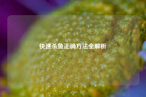 快速杀鱼正确方法全解析
