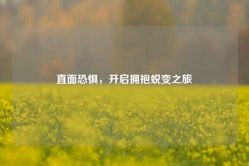 直面恐惧，开启拥抱蜕变之旅