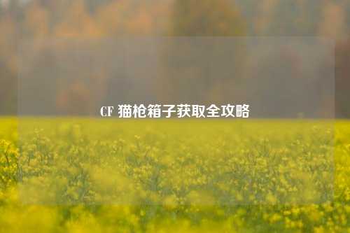 CF 猫枪箱子获取全攻略