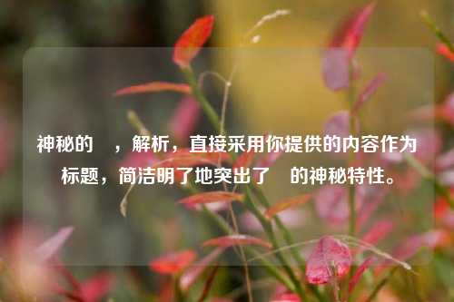 神秘的鉲,解析,直接采用你提供的内容作为标题,简洁明了地突出了鉲的神秘特性。