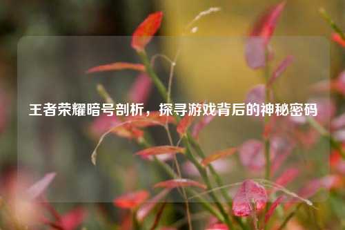 王者荣耀暗号剖析,探寻游戏背后的神秘密码