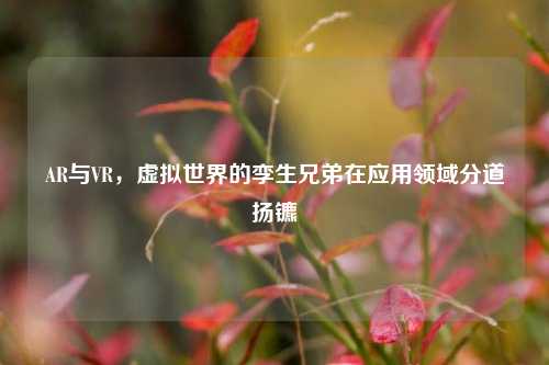 AR与VR，虚拟世界的孪生兄弟在应用领域分道扬镳