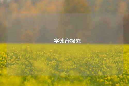 毐字读音探究