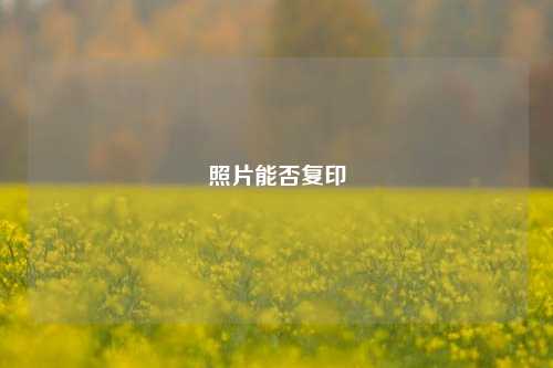 照片能否复印