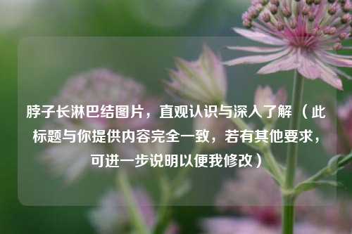 脖子长淋巴结图片，直观认识与深入了解 （此标题与你提供内容完全一致，若有其他要求，可进一步说明以便我修改）