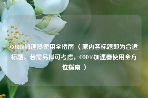 COD16加速器使用全指南 (原内容标题即为合适标题,若需另拟可考虑,COD16加速器使用全方位指南 )