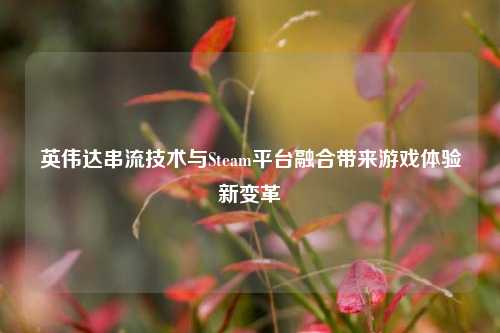 英伟达串流技术与Steam平台融合带来游戏体验新变革