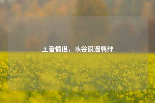 王者情侣，峡谷浪漫羁绊
