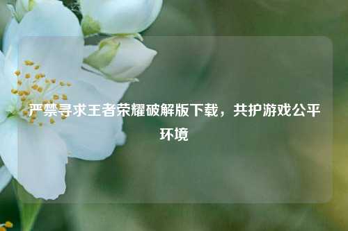 严禁寻求王者荣耀破解版下载,共护游戏公平环境