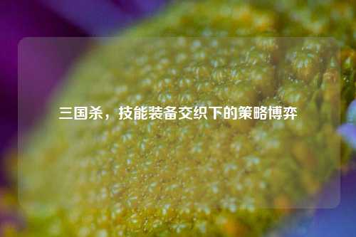 三国杀,技能装备交织下的策略博弈