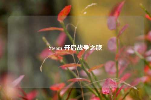 Steam 开启战争之旅