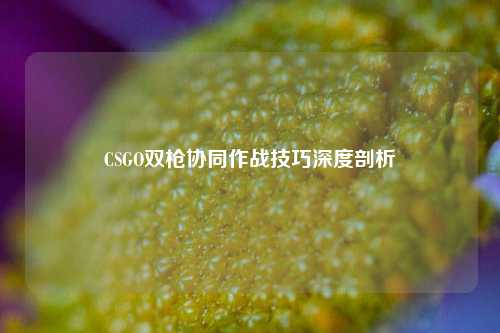 CSGO双枪协同作战技巧深度剖析