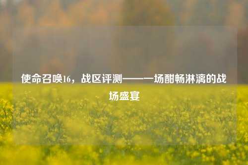 使命召唤16，战区评测——一场酣畅淋漓的战场盛宴